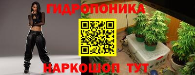 индика Татарск