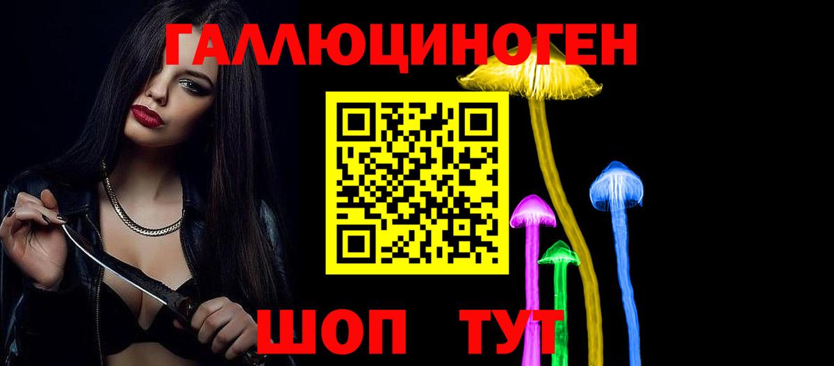 Псилоцибиновые грибы Psilocybine cubensis  Вход с VPN  Псков 